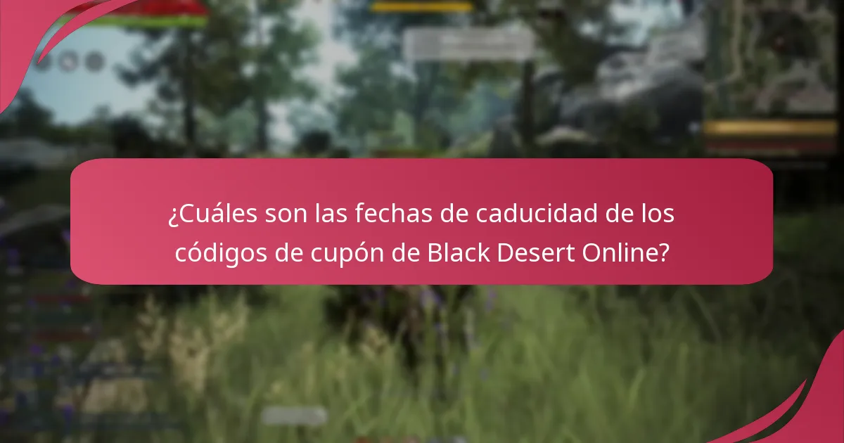¿A qué tipos de artículos se pueden aplicar los códigos de cupón de Black Desert Online?
